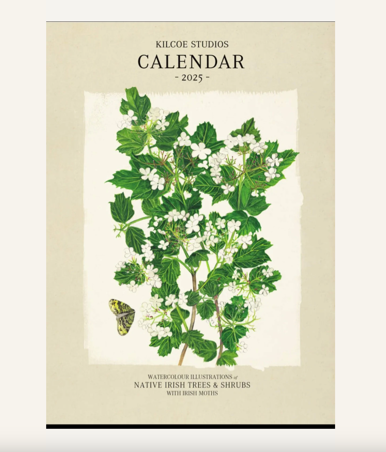 Kilcoe Studios Calendar 2026