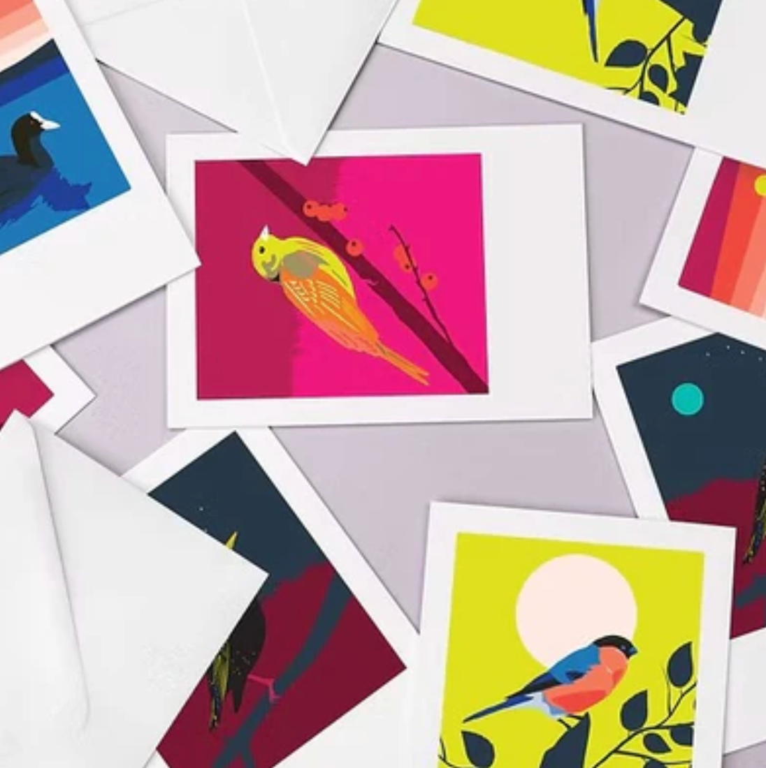 Feather - Box of Greeting Cards