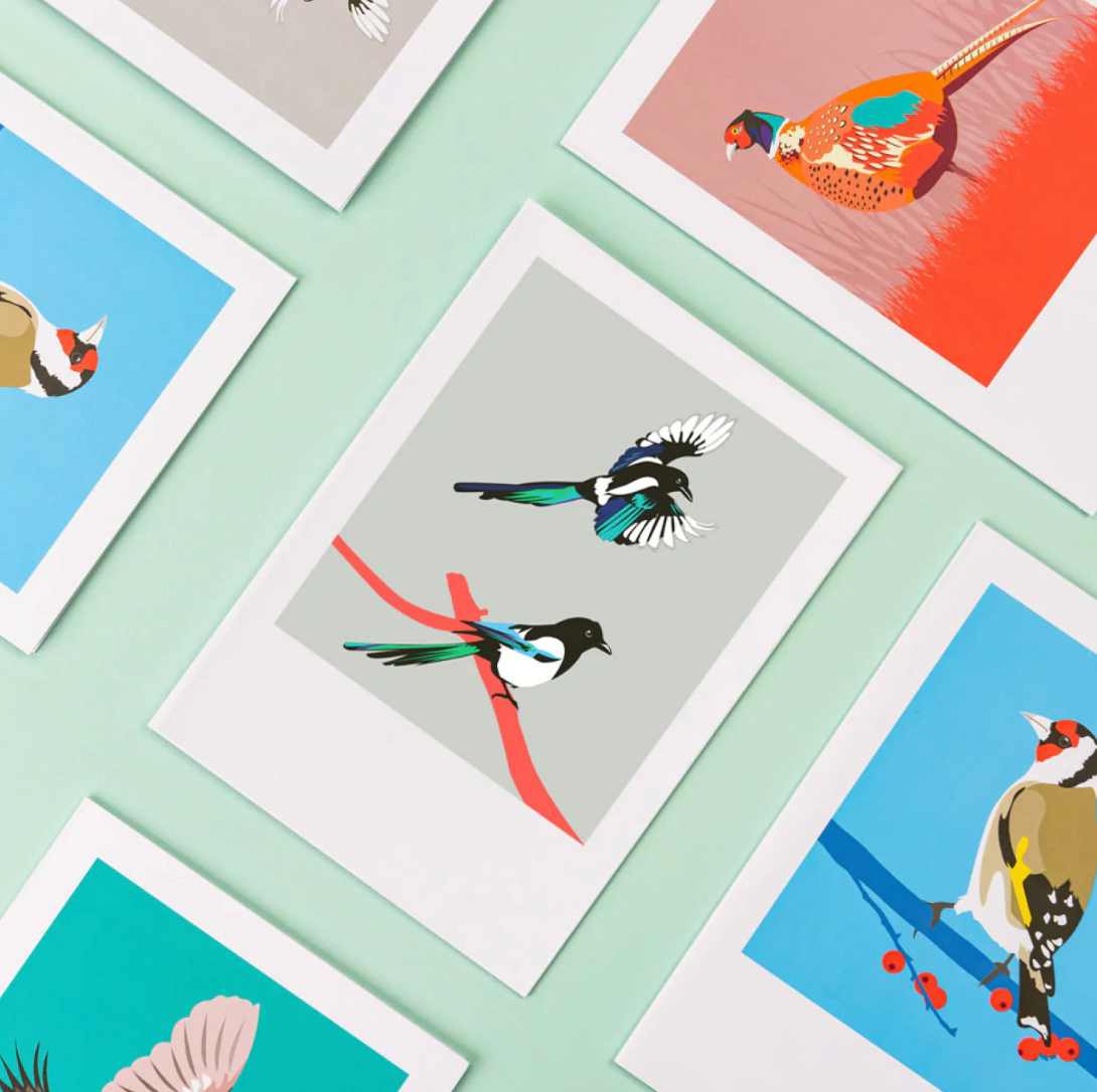 Bird - Box of Greeting Cards