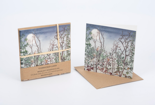 Kilcoe Studios Christmas Cards (6 pack)