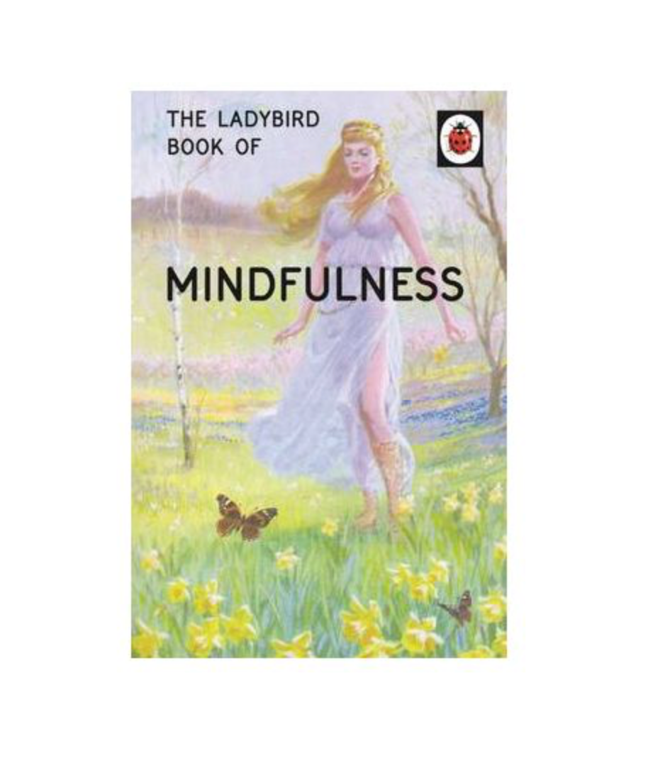 The Ladybird Book of Mindfulness