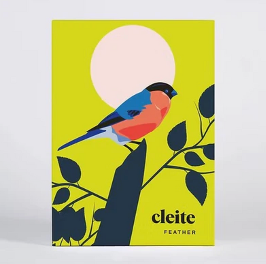 Feather - Box of Greeting Cards