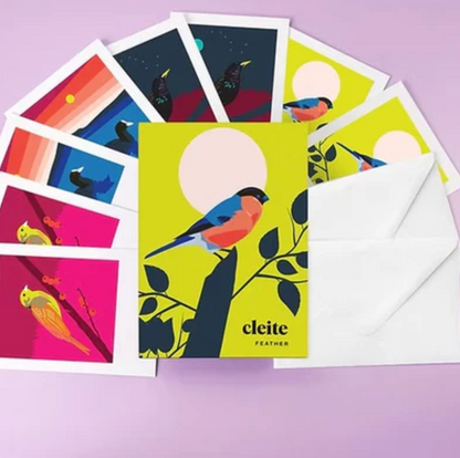 Feather - Box of Greeting Cards