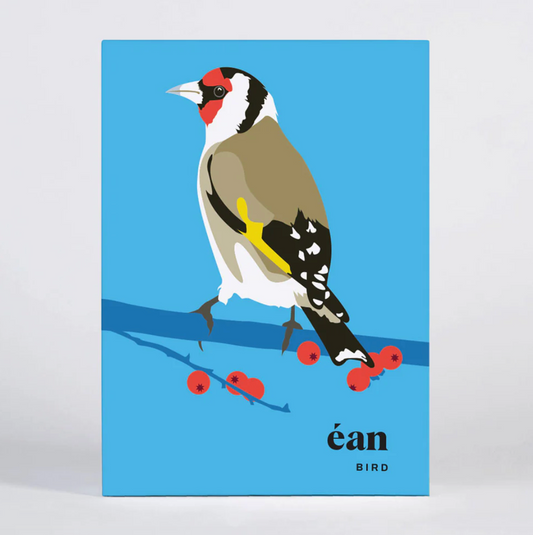 Bird - Box of Greeting Cards