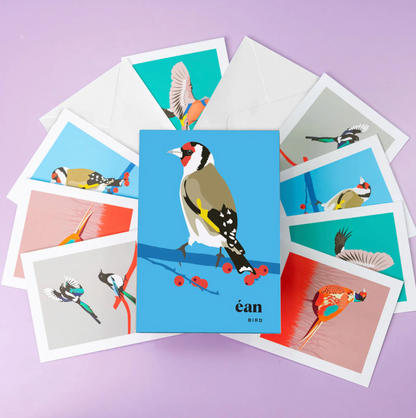 Bird - Box of Greeting Cards